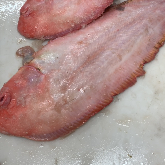 【小两口海鲜】牛舌板野生舌头鱼大连发货省内包邮