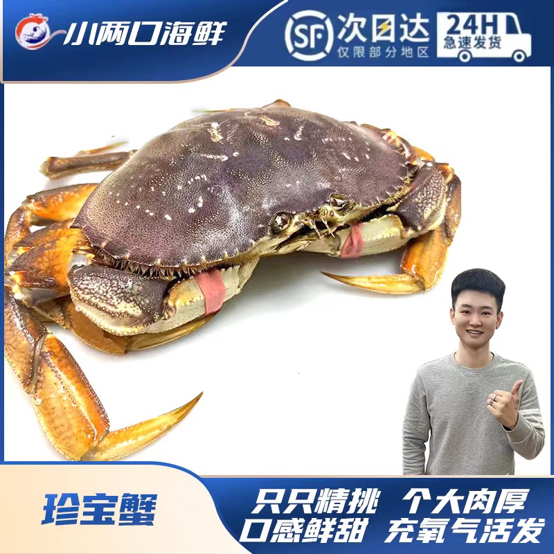 【小两口海鲜】珍宝蟹太子蟹直播现场称重直播大连发货保鲜不保活