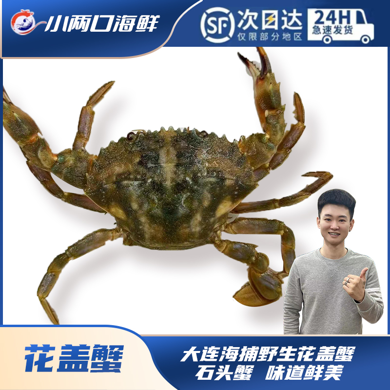 【小两口海鲜】大连当地花盖蟹石头蟹3斤大连发货保鲜不包活