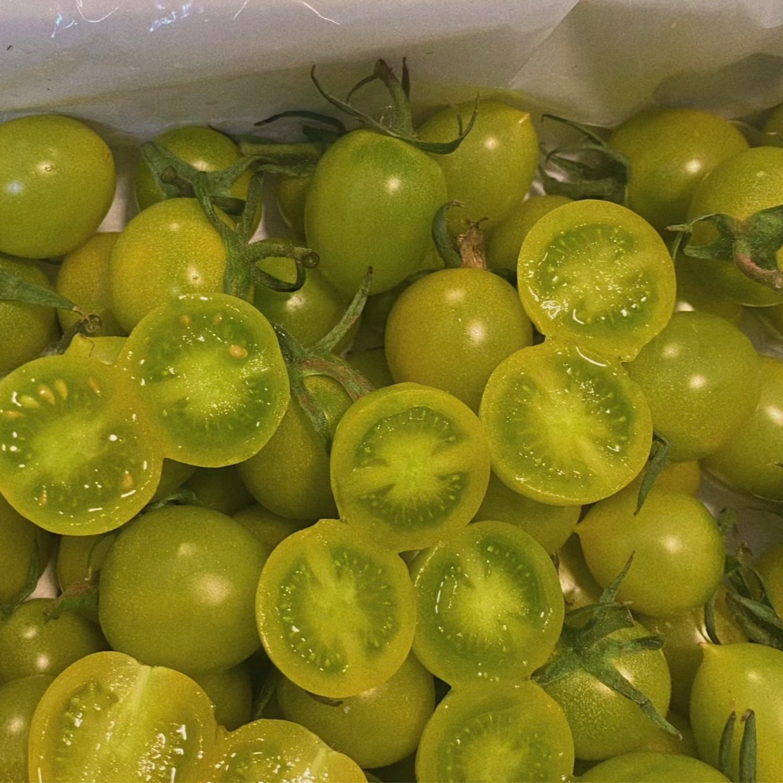 小千禧（青色）｜甜度好，口感很不错千禧圣女果山东省