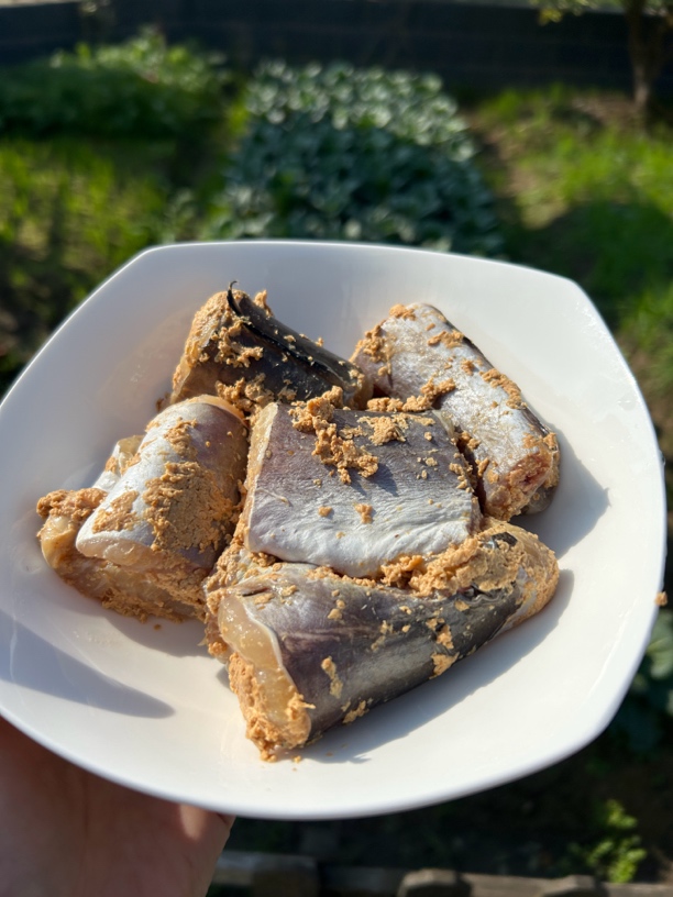 崇明农家陈糟香鳗