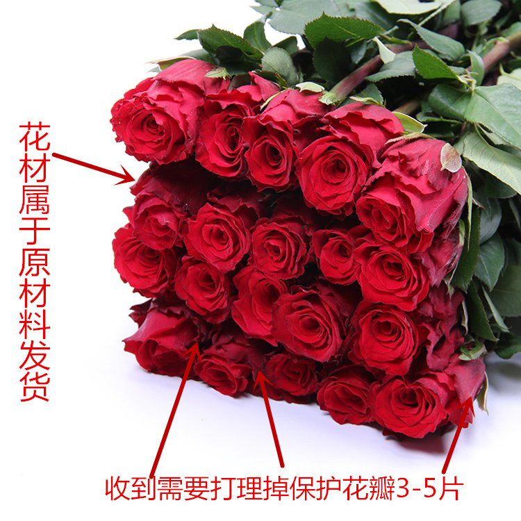 红玫瑰云南新鲜花束源头基地直发水养花束鲜花