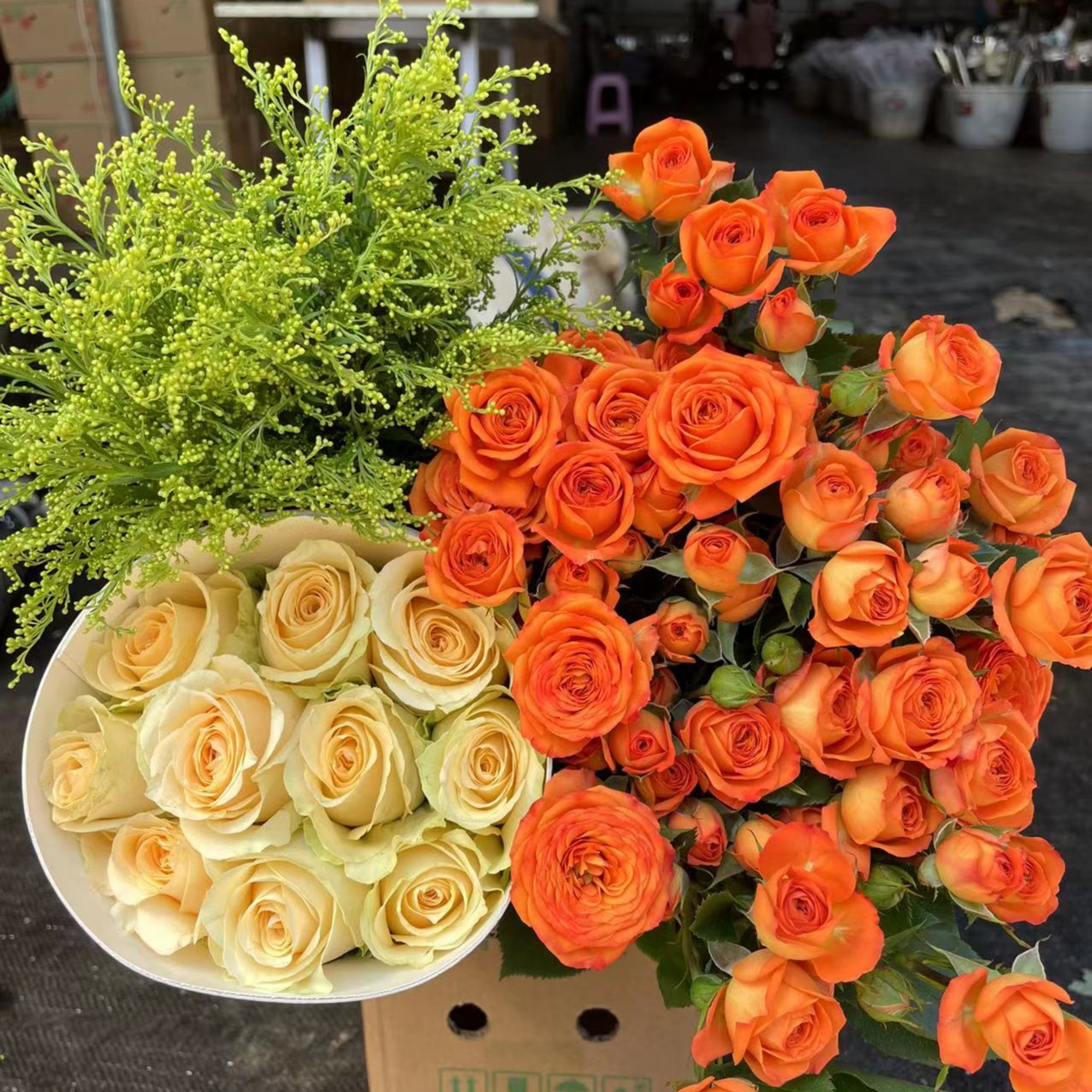 【宠粉组合】玫瑰香槟玫瑰粉玫瑰云爱莎南昆明自然原产地直发新鲜