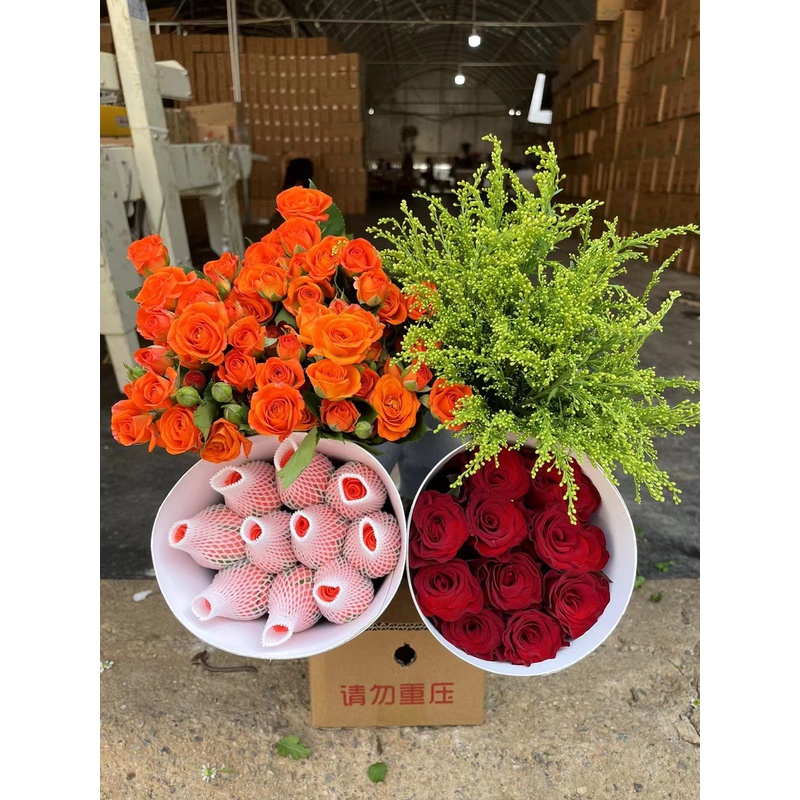 【爆款玫瑰鲜花组合】红玫瑰10只+粉玫瑰10只+橙芭比（3-5枝）+配草