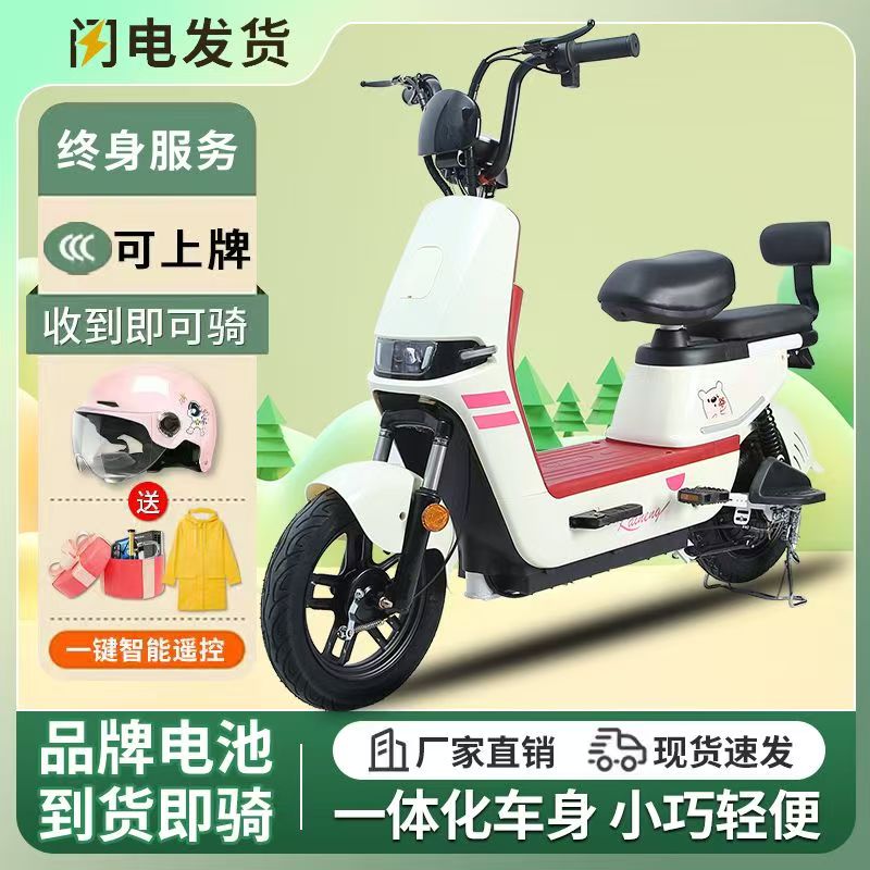 国标电动车成人电瓶车电动自行车锂电池48V可上牌男女电动车推荐
