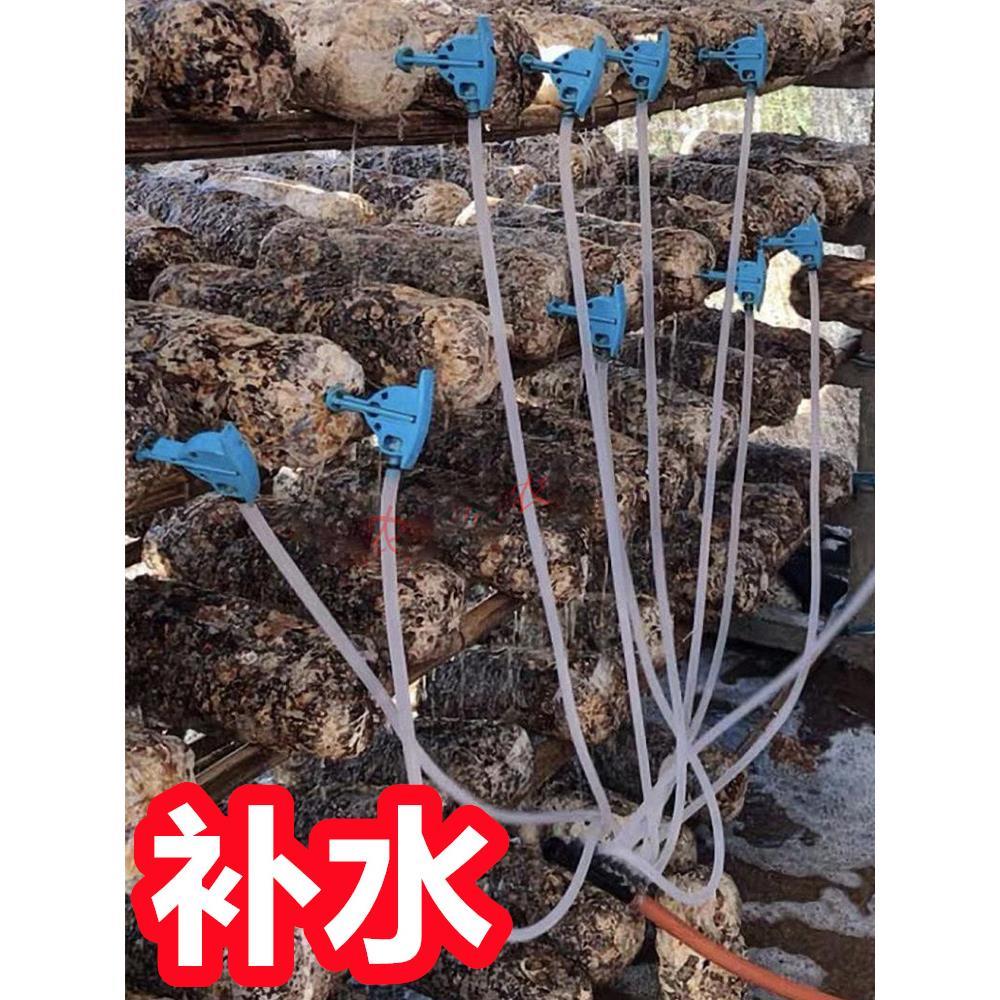 香菇注水针补水针自动蘑菇注水器软管木耳蘑菇平菇菌棒香菇注水器