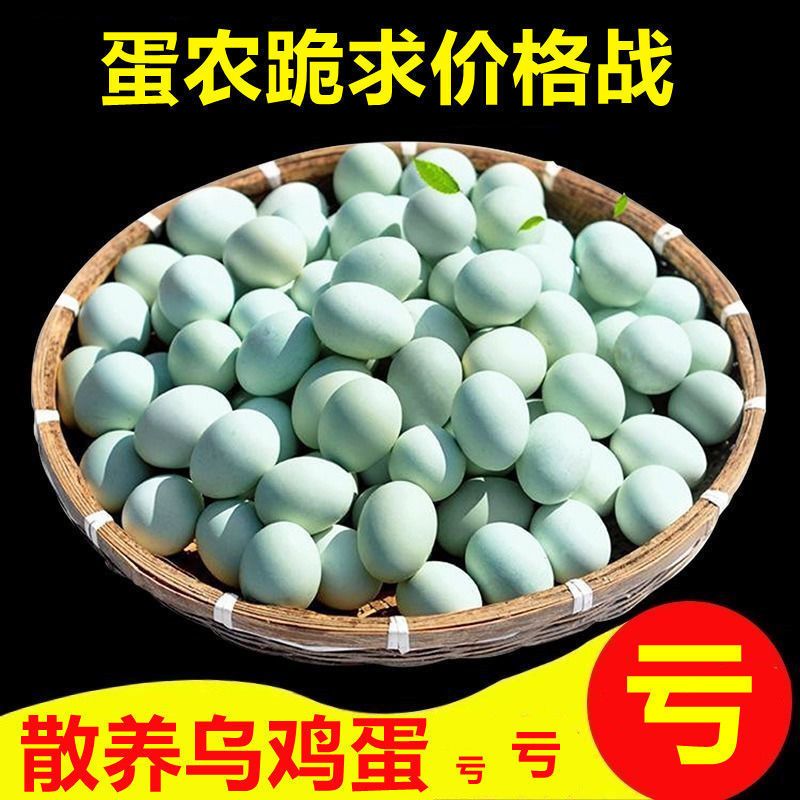 农家本地真土鸡蛋农村收购有机散养放养新鲜正宗草鸡蛋无抗吃虫草