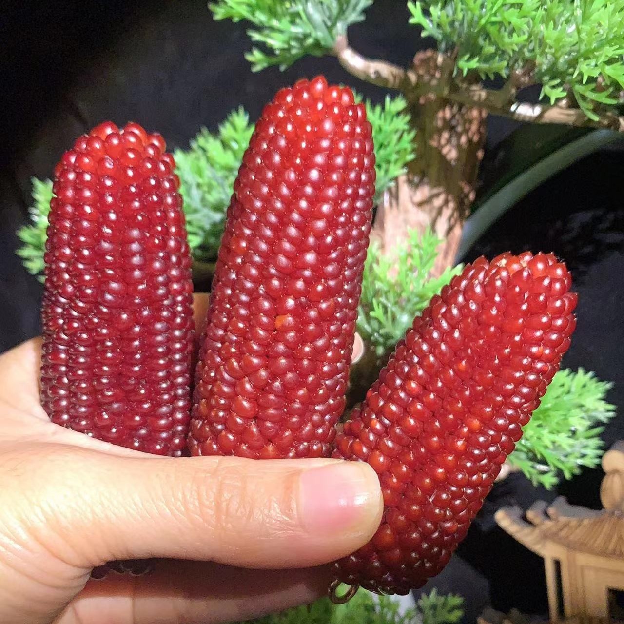 【紫韵阁-新文创玉米】紫气东来手把 挂饰小玉米