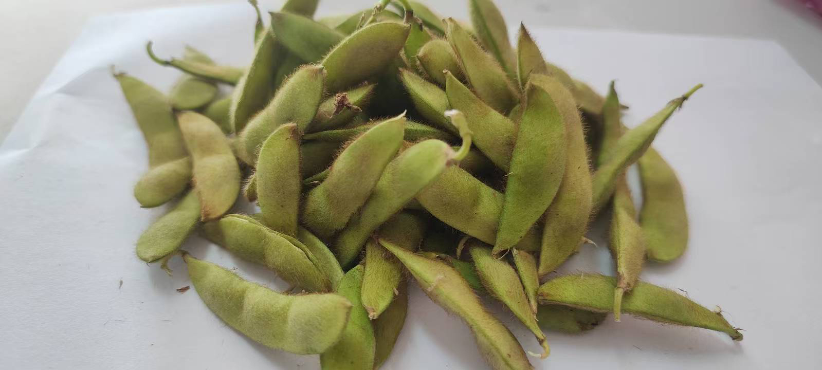 隔壁香、黄豆角 小时候的味道