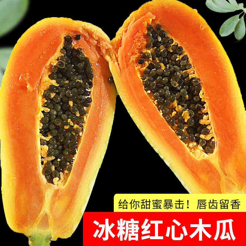 海南红心木瓜新鲜孕妇水果当季特产大青冰糖红心牛奶木瓜3/5/10斤