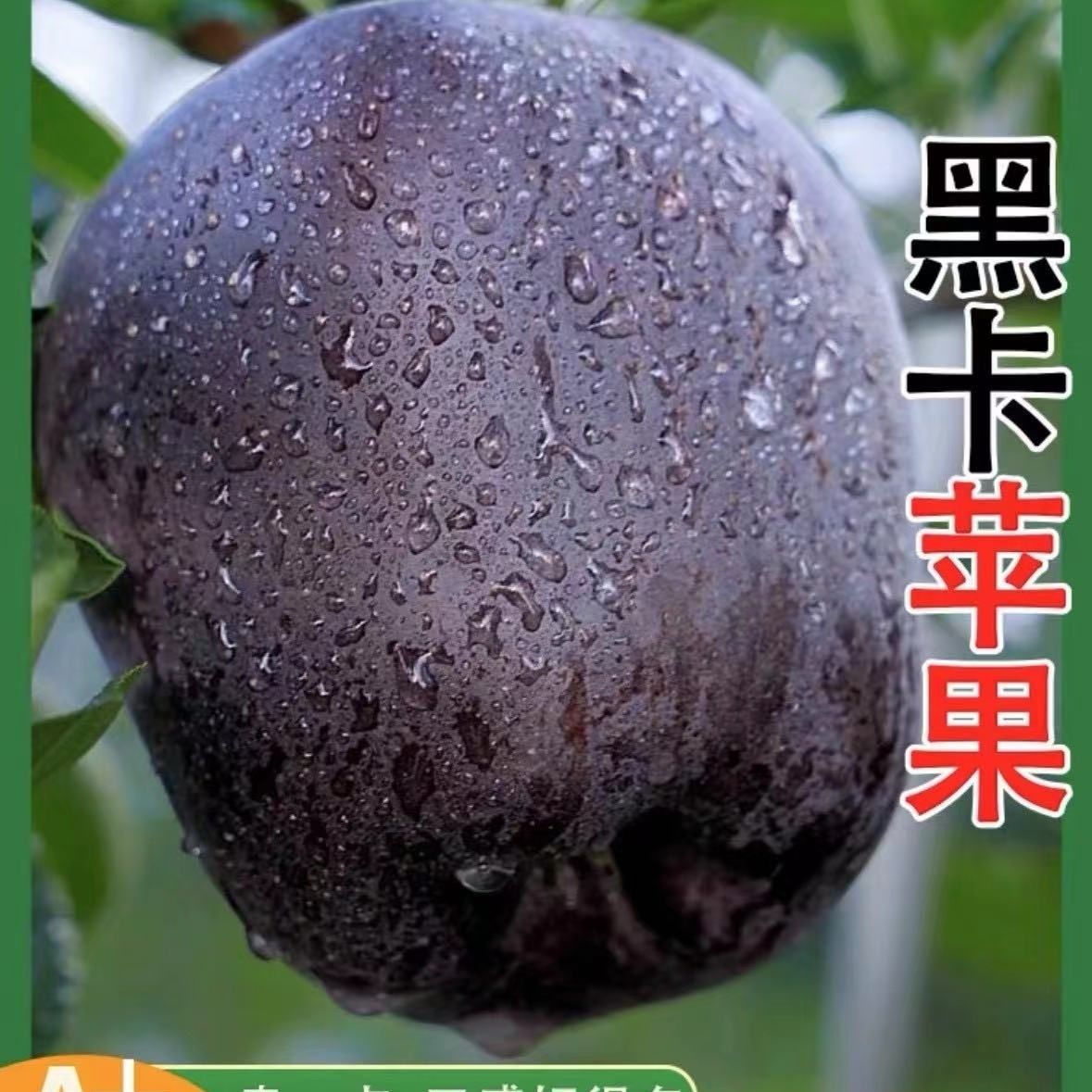 高端黑钻黑苹果冰糖黑卡新鲜水果稀有当季整箱包邮甘甜精品纯甜脆