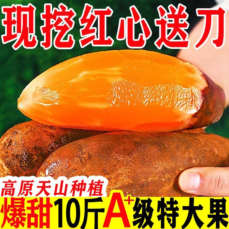 云南正宗黄心红心天山雪莲果10斤大果新鲜水果应季批发一整箱现挖