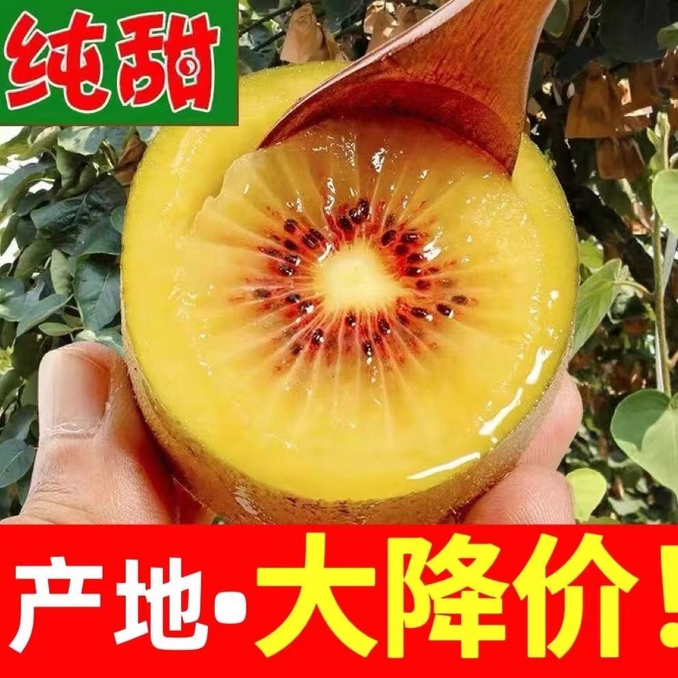 红心猕猴桃四川红心非黄心奇异果泥猴桃水果新鲜非绿心猕猴桃批发