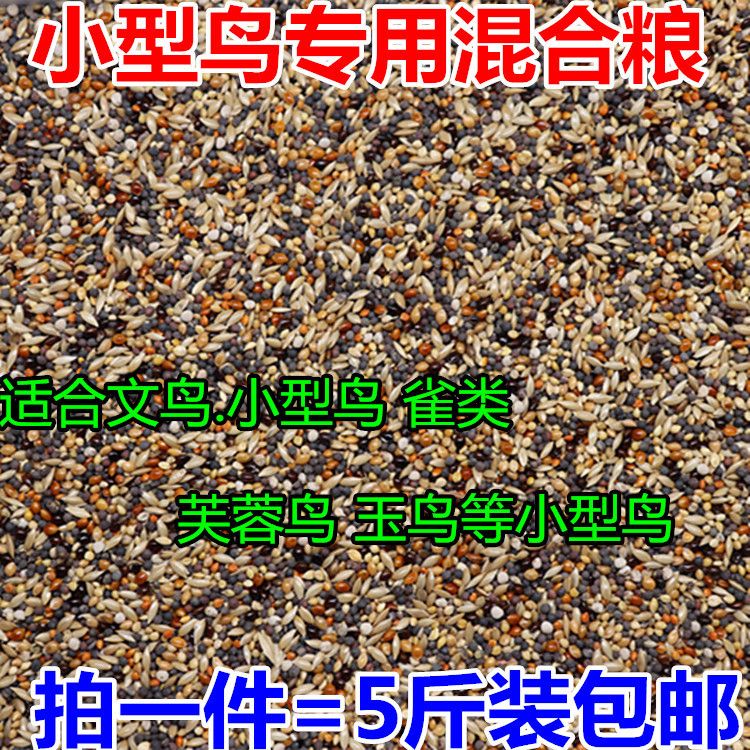 芙蓉鸟珍珠鸟芙蓉鸟玉鸟食混合鸟食鸟粮饲料YT麻雀中小型