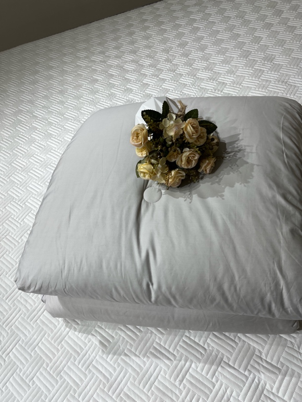 直播间样品被芯200*230微瑕～G348