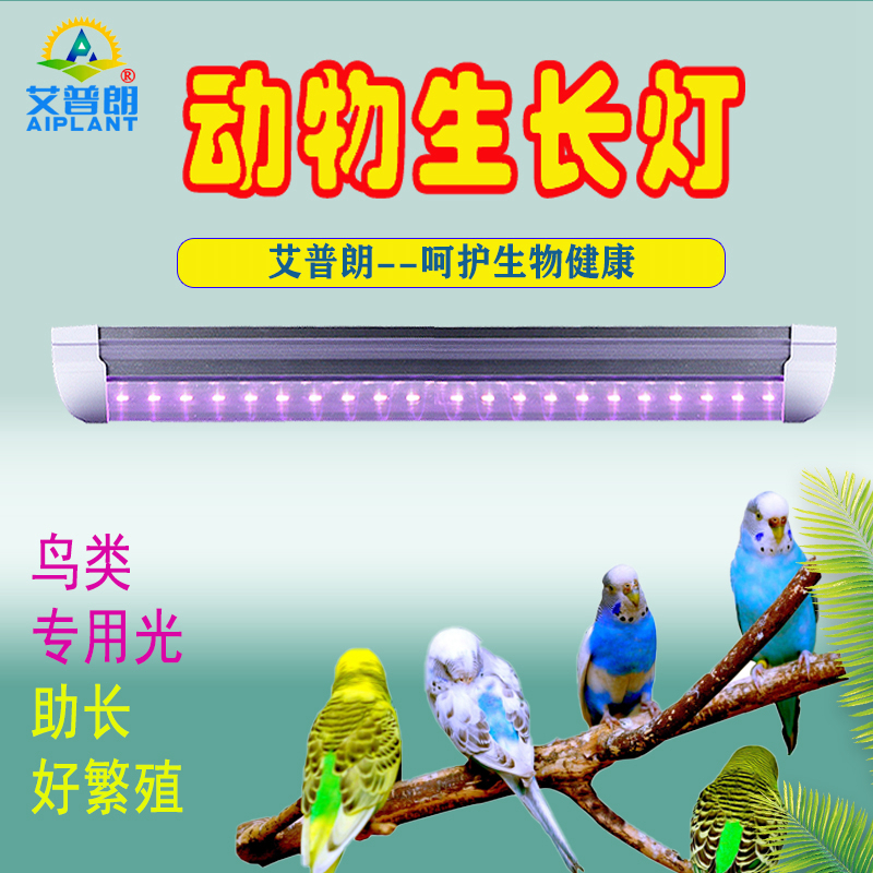 AIPLANT/艾普朗全光谱鹦鹉鸽子鸟养殖场补光灯促繁殖利骨钙助生长