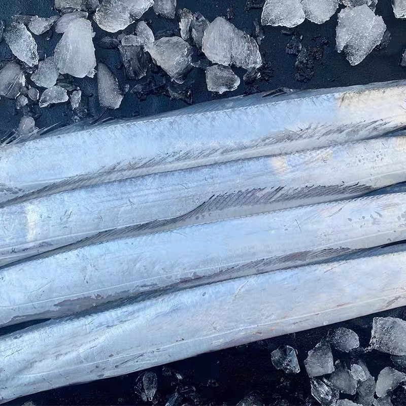 连云港发货，新鲜带鱼（小眼油带）