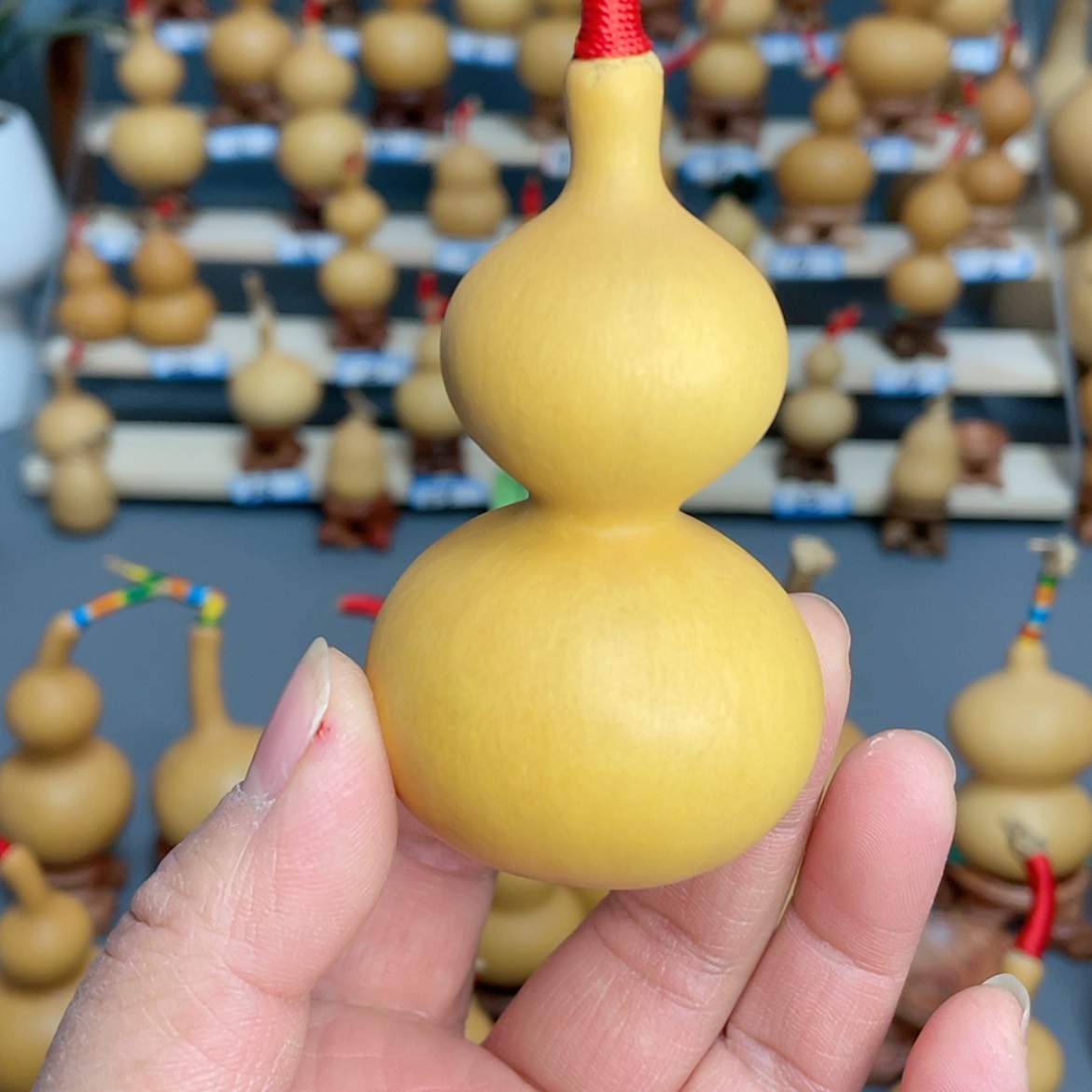 【闪购商品】天然葫芦?****友