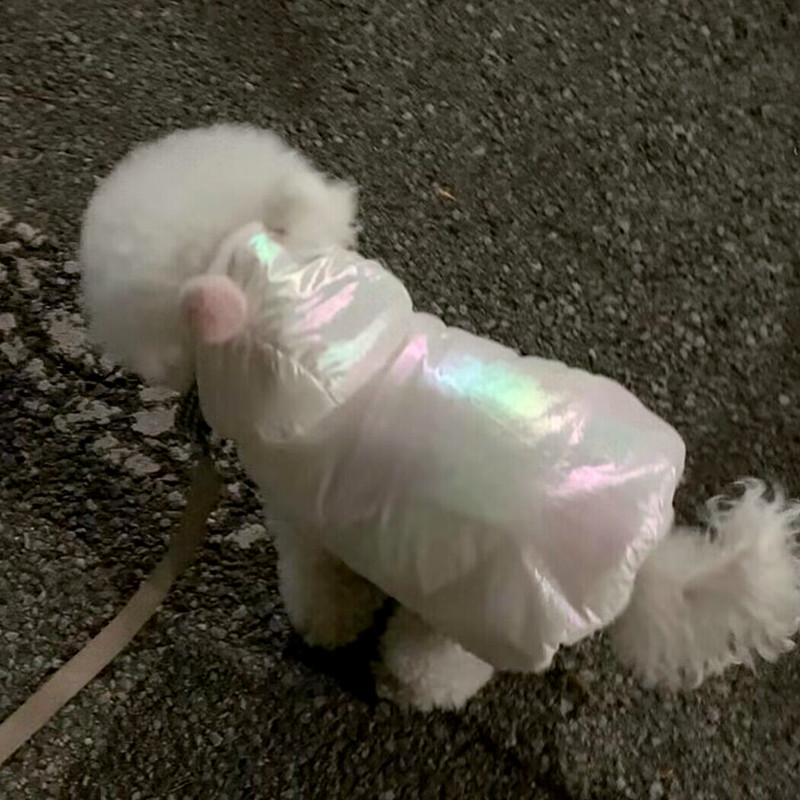 狗狗衣服比熊博美泰迪雪纳瑞猫咪小型犬2023秋冬新款炫彩潮流棉衣