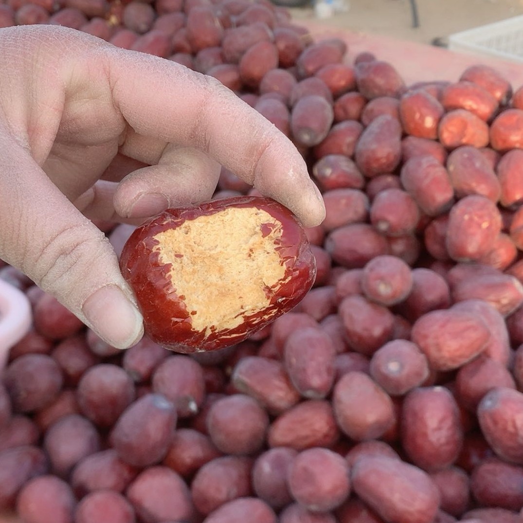 （实惠装）2025年新疆和田原生态大枣混级（1.2.3）未清洗未加工