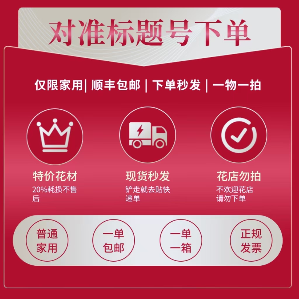 509号不指定发一箱❤←对准号下单鲜花❤快递揽收后不支持退款