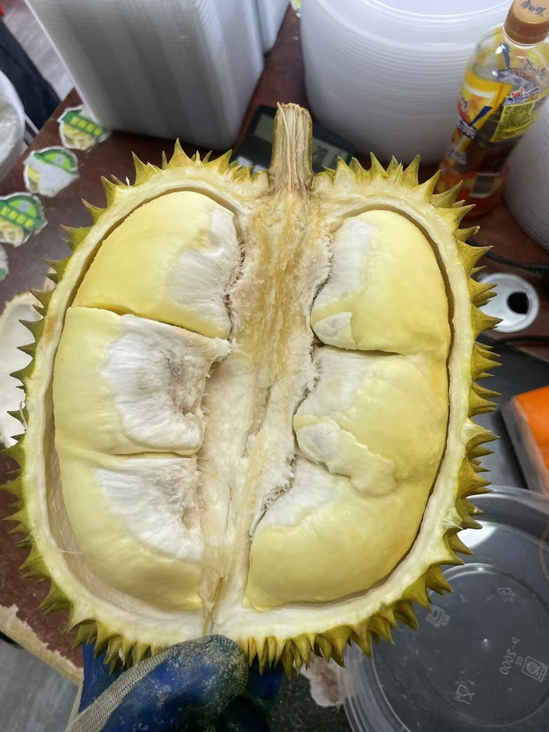 新鲜泰国树上熟金枕头榴莲（偏熟特价果）无售后