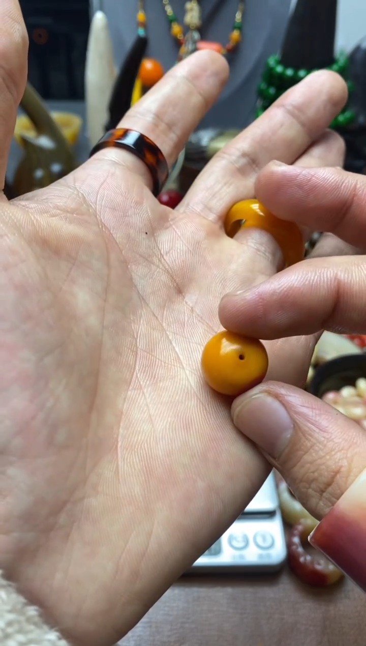 【闪购商品】红老型单株16