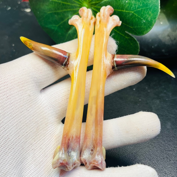 沉醉骨艺鸡爪骨斗鸡异性炫彩