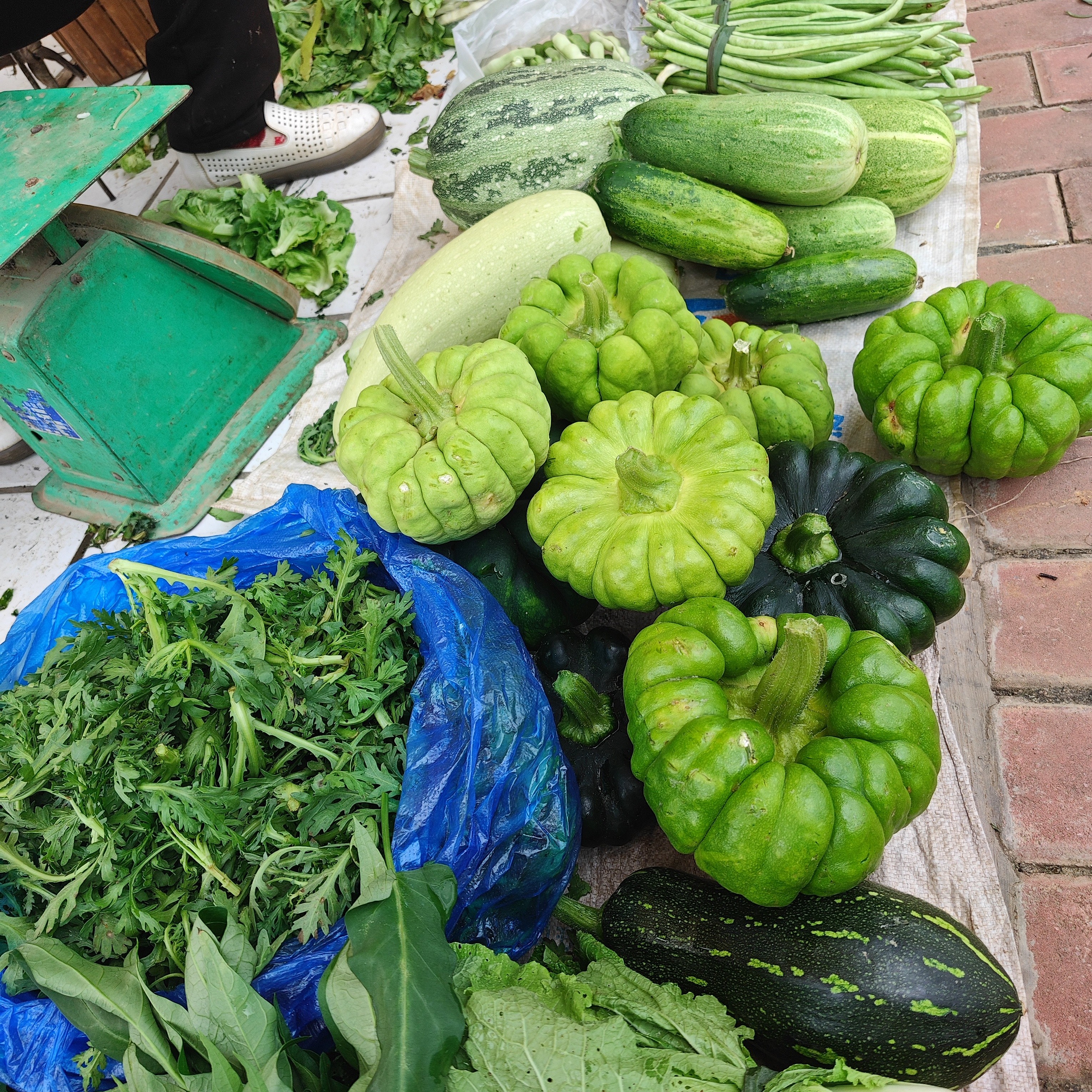 【云南自种大白菜】云南正宗土特产