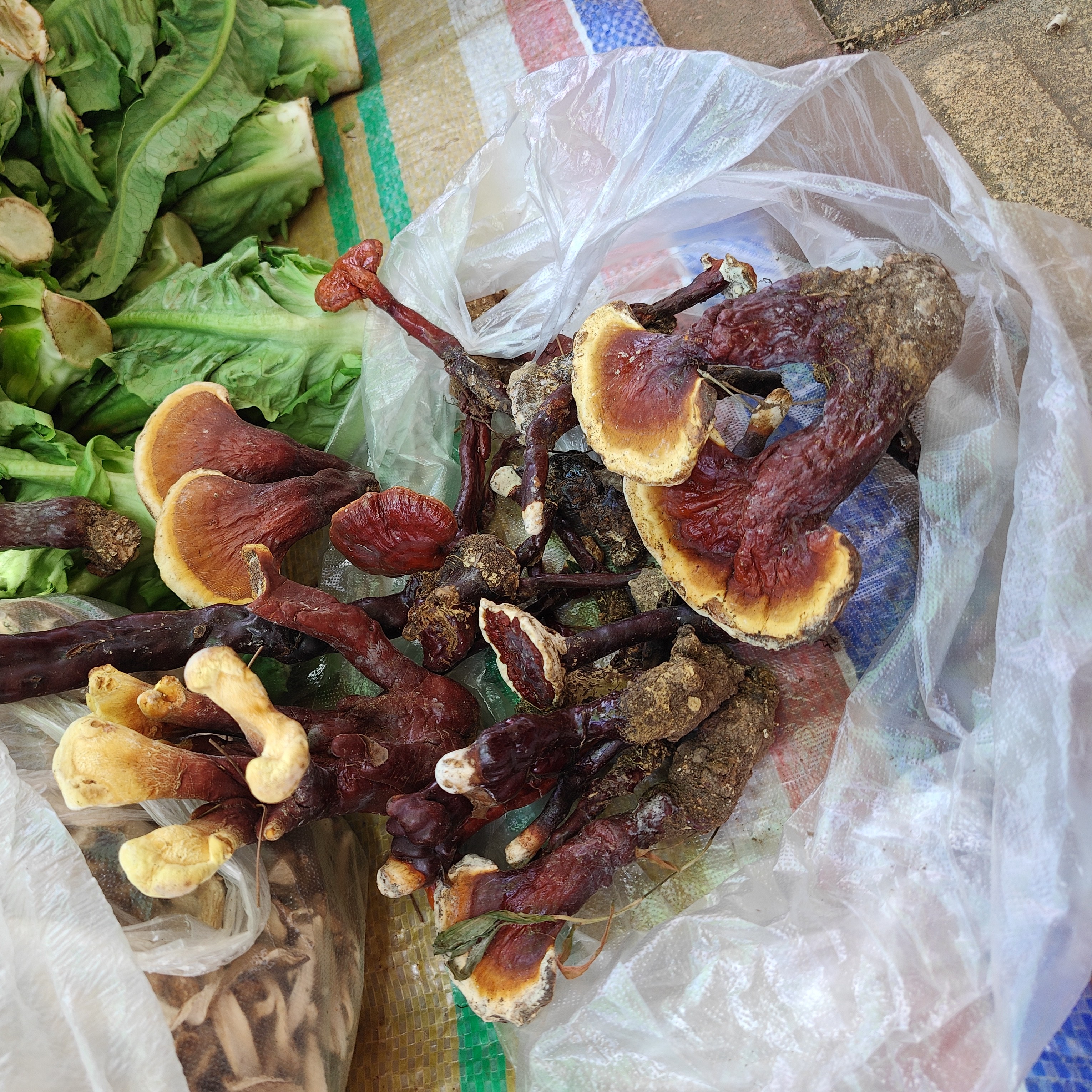 【云南林芝】云南山货土特产