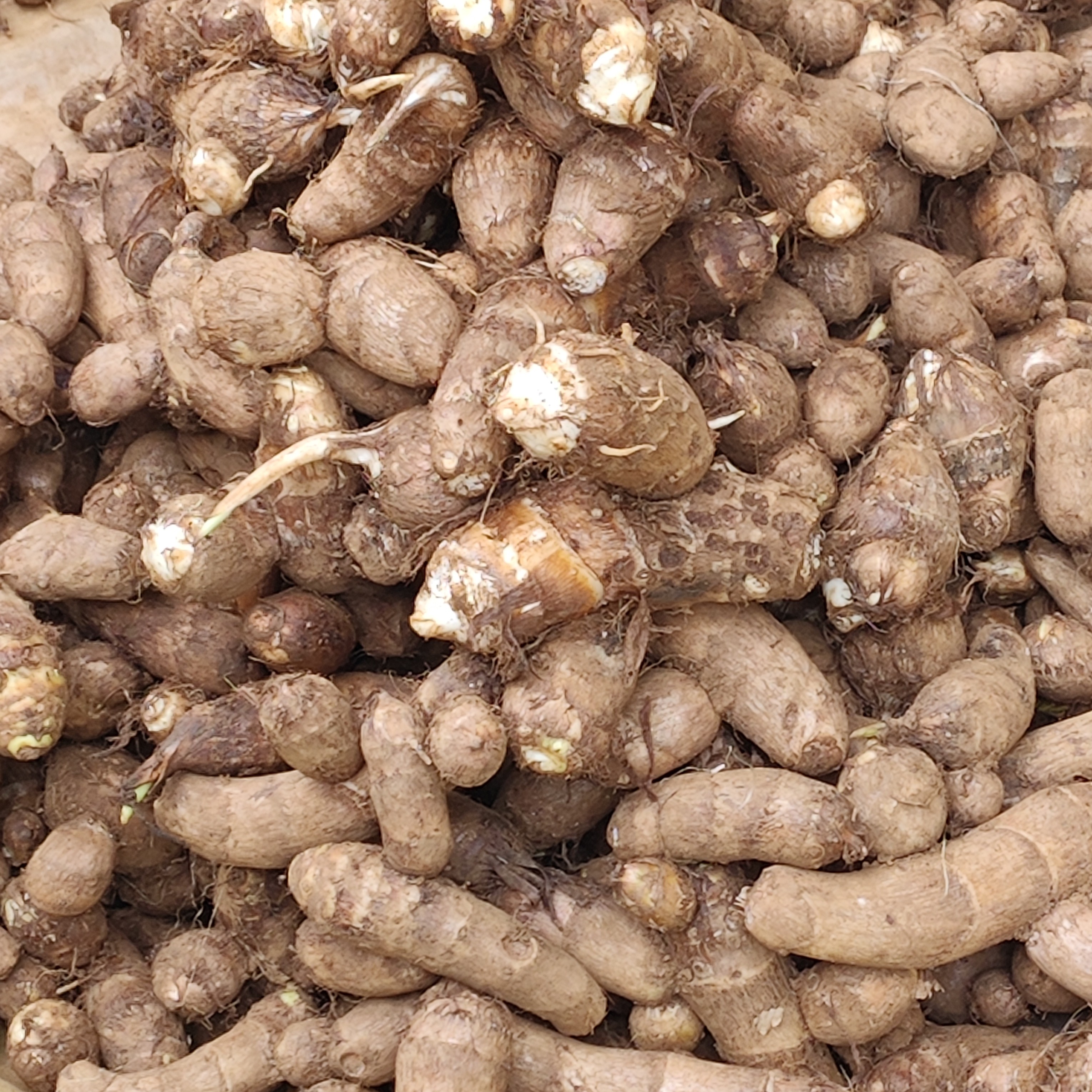 【云南老品种小芋头】土特产临时链接1-10000g