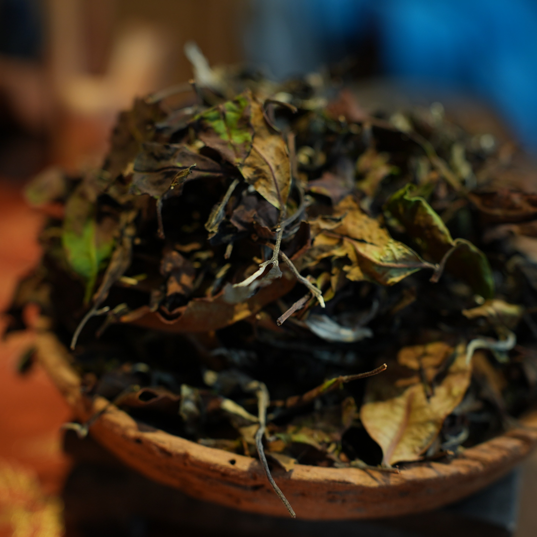 【已开价】古树白茶散茶 云南白茶