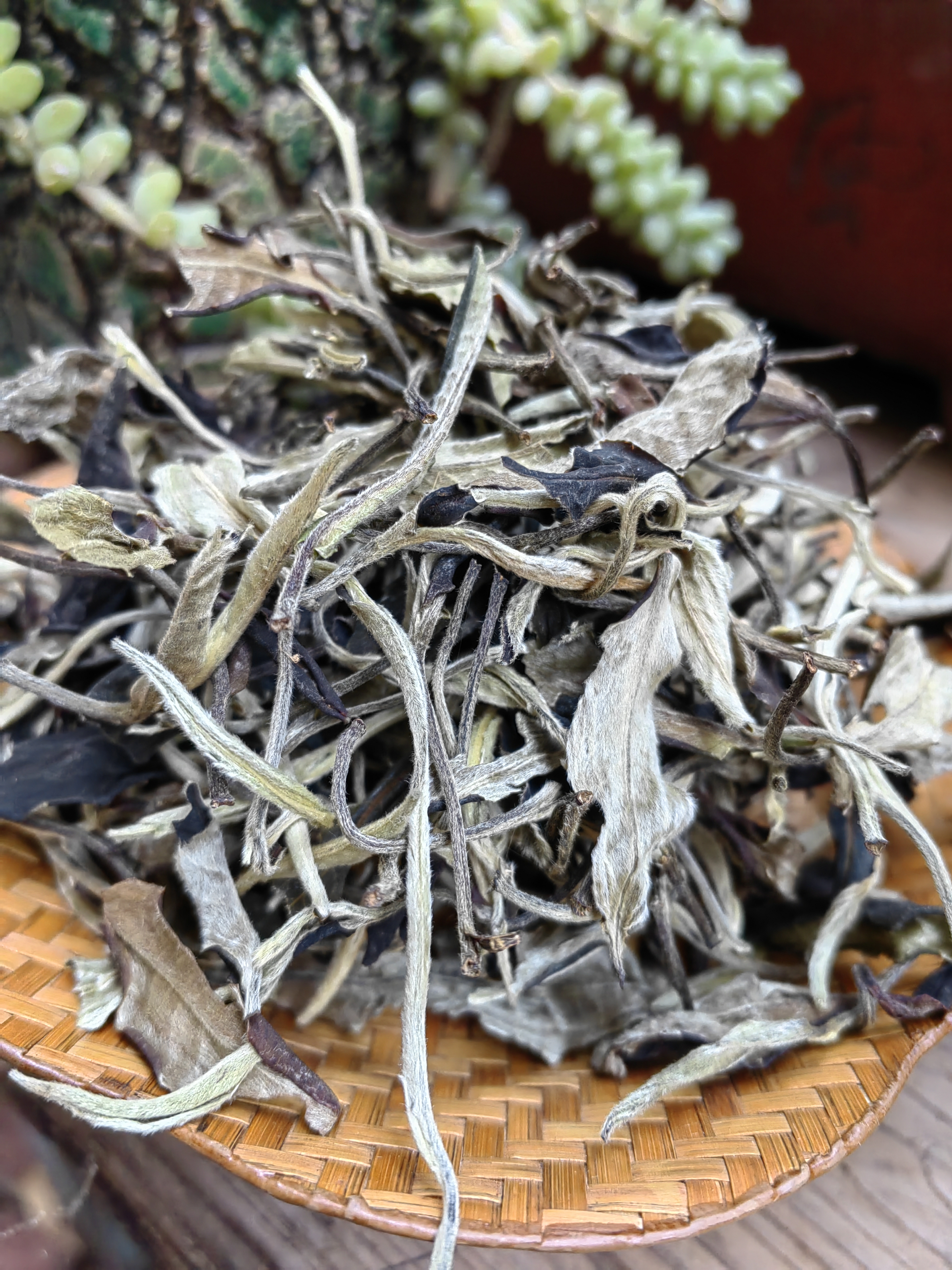 【已开价】月光白  云南白茶【散茶】