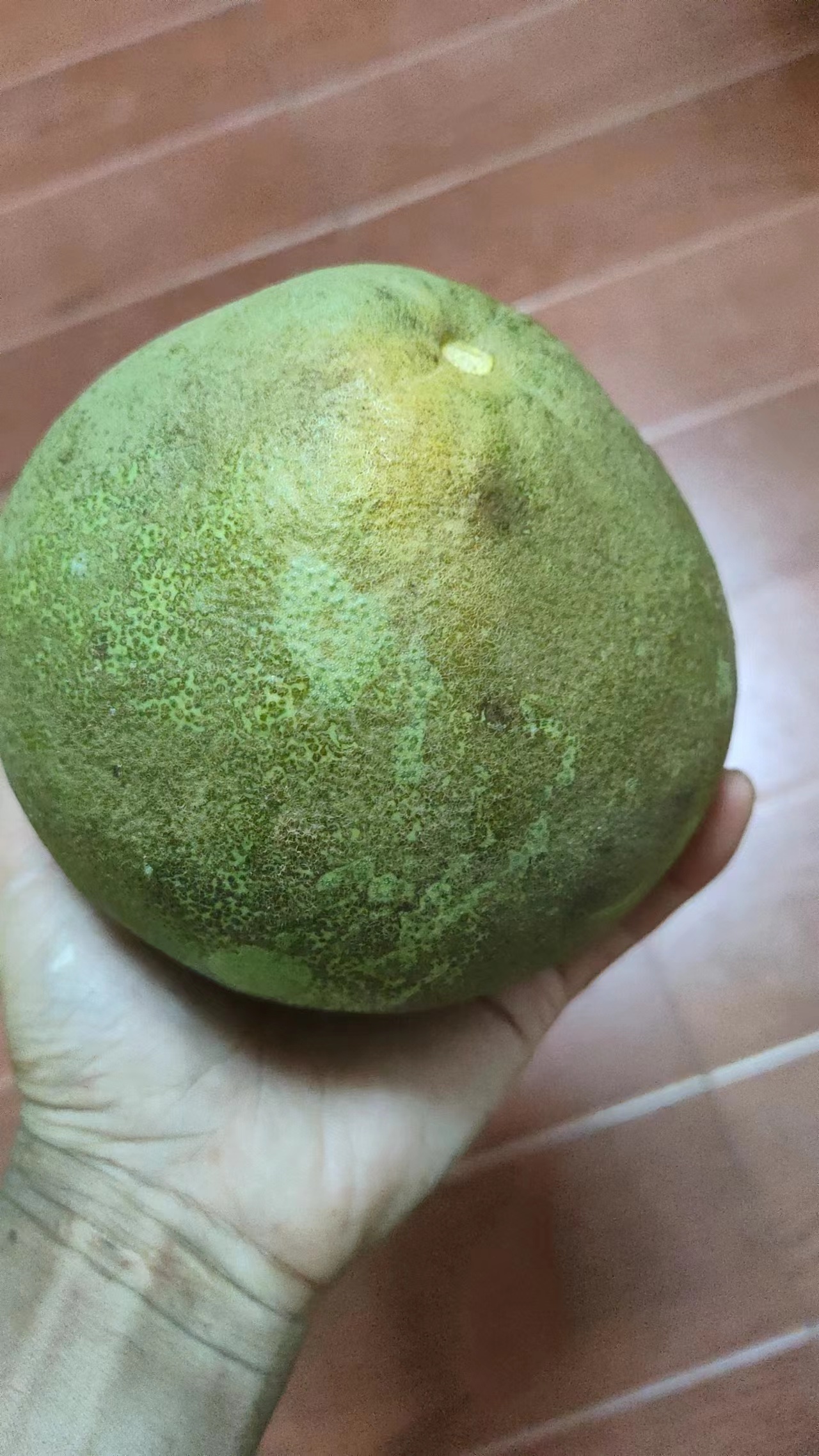 丑中果仙游度尾文旦柚丑果外皮黑果肉一样品质