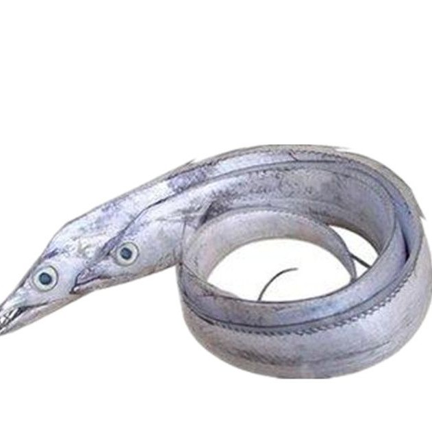 整条带鱼海鲜500克至700克带鱼同城送