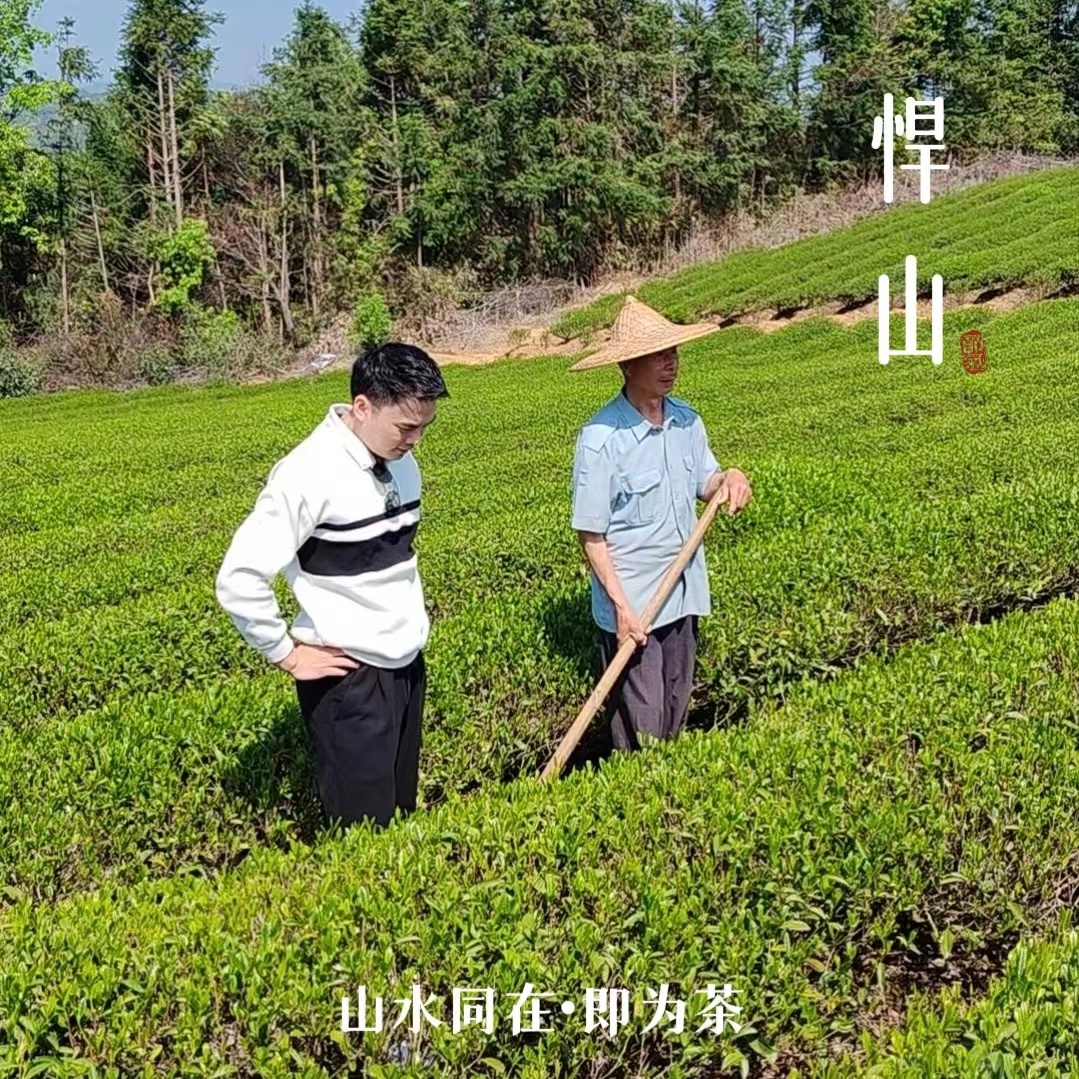 达人【7】武夷岩茶