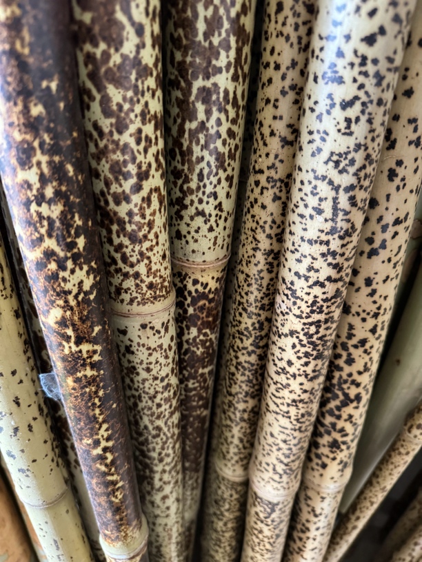 梅鹿竹竹料，直播付米专用