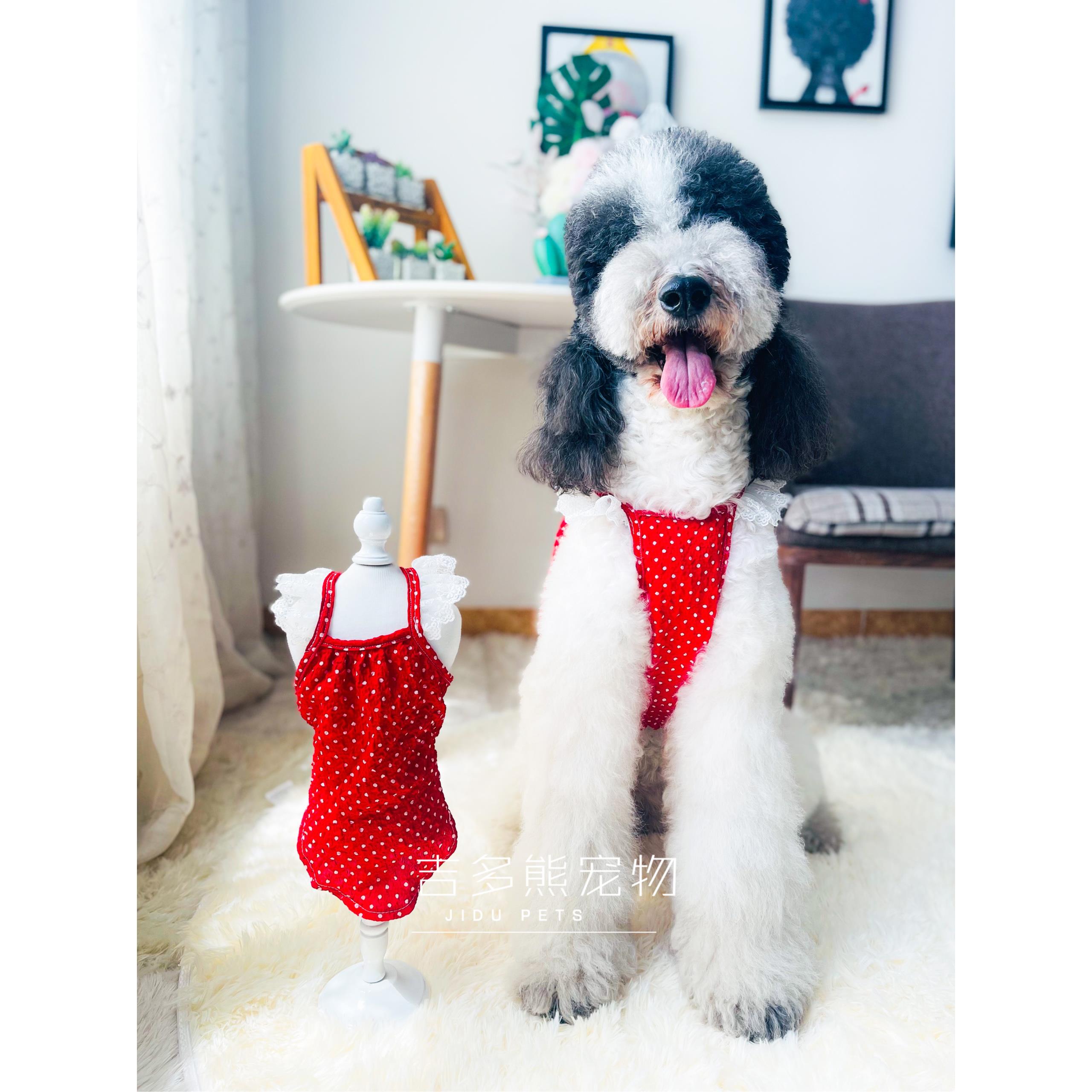 宠物狗衣服夏天防掉毛吊带背心泡泡纱红色点点公主网红金毛古牧
