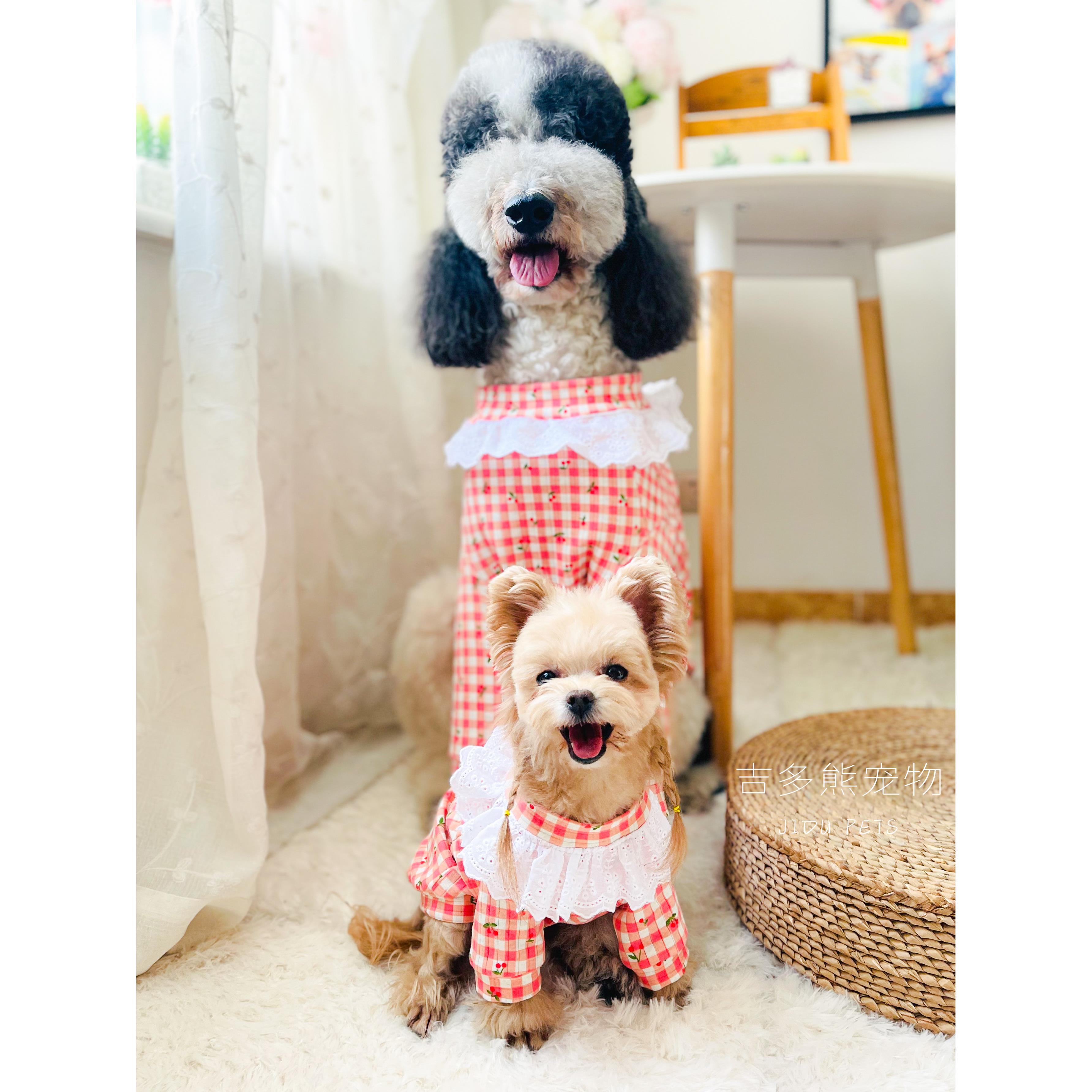 宠物衣服狗狗小型犬冬天秋装小型犬大型犬可爱蕾丝T恤打底衫博美