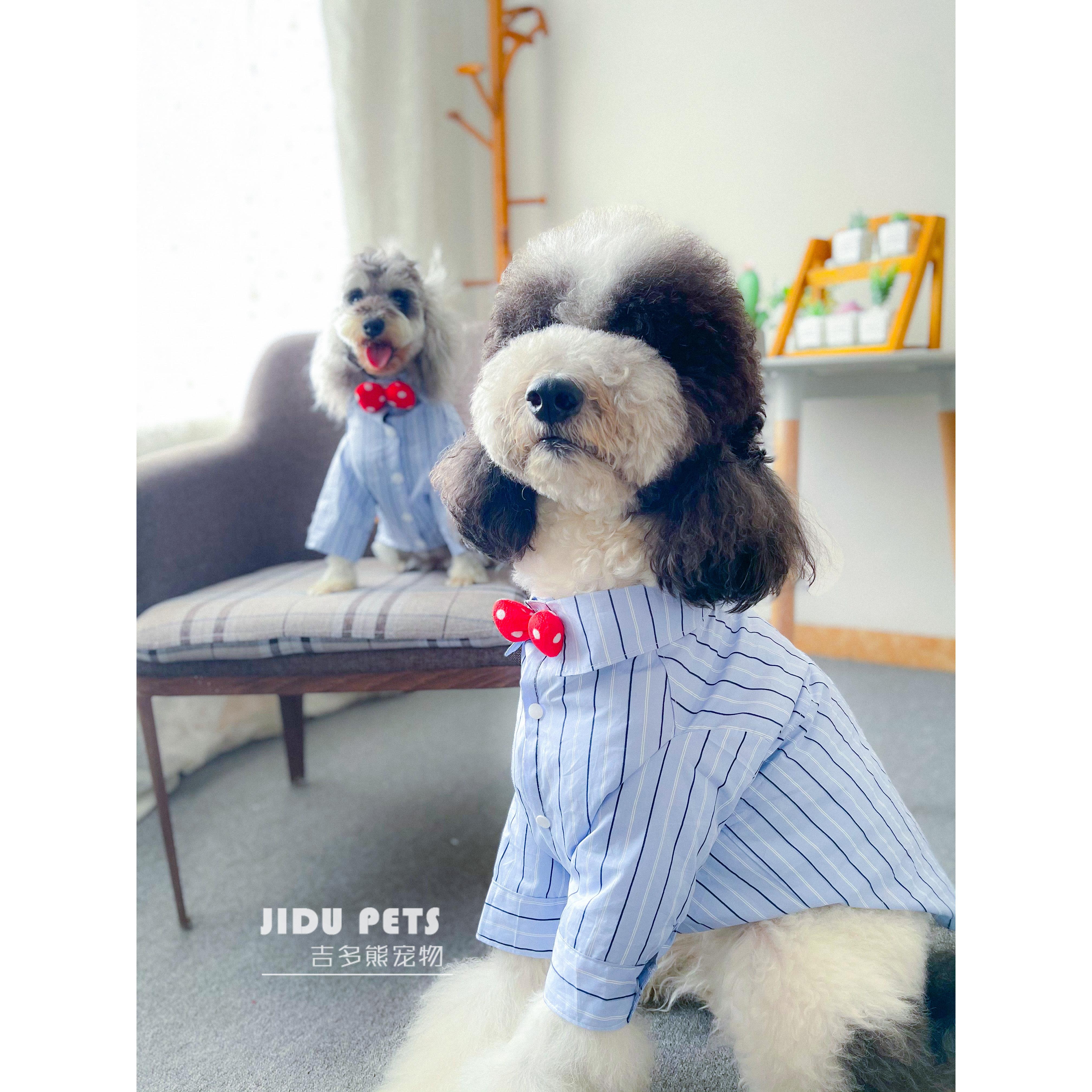 吉多熊家  宠物衣服可爱领结条纹衬衣雪纳瑞巨贵夏天大型犬衬衣