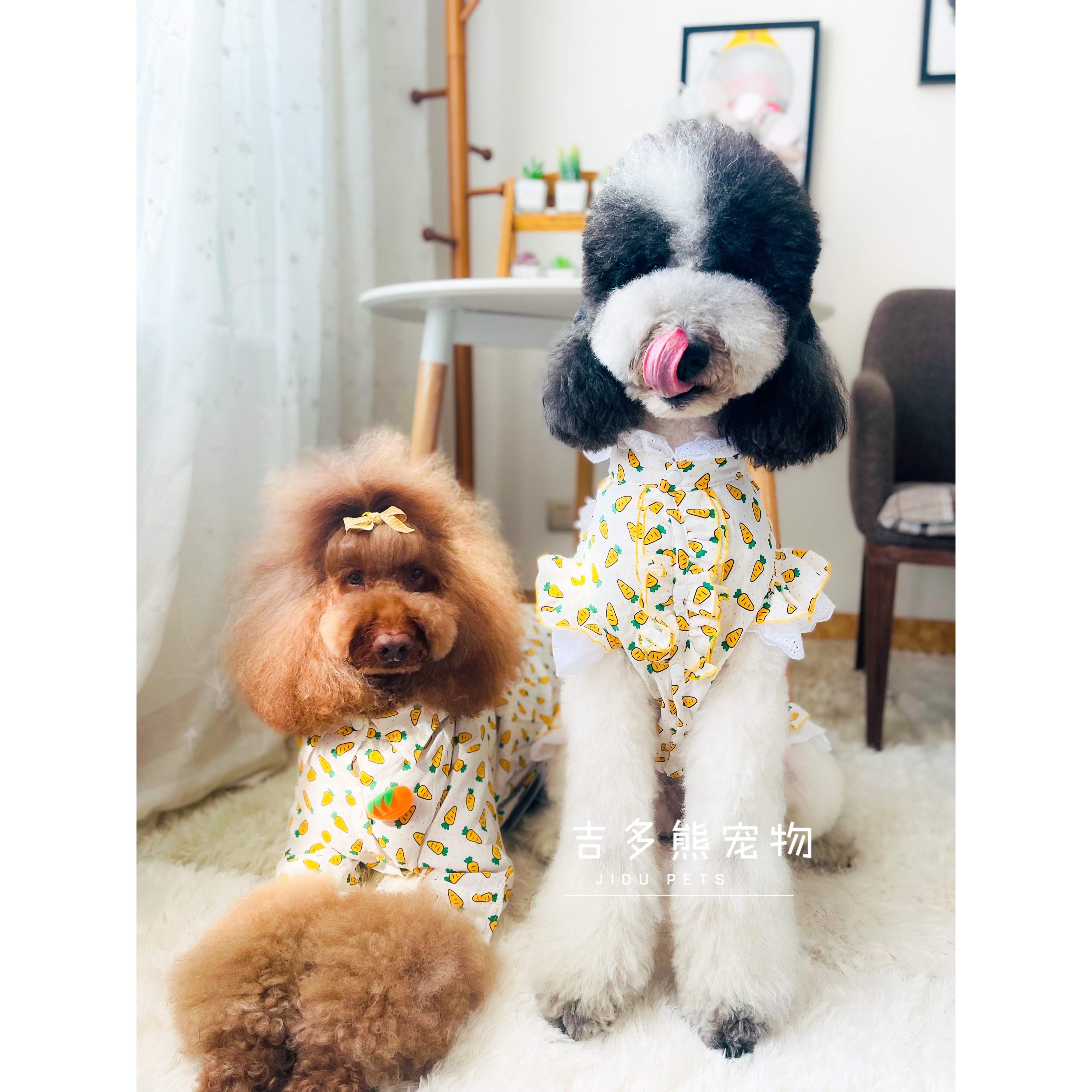 韩国网红蝴蝶结狗狗胡萝卜蕾丝连衣公主裙子比熊雪纳瑞巨贵犬衣服