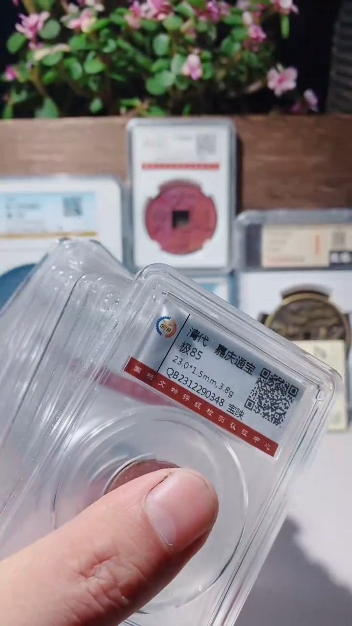 【闪购商品】铜嘉庆85地方局