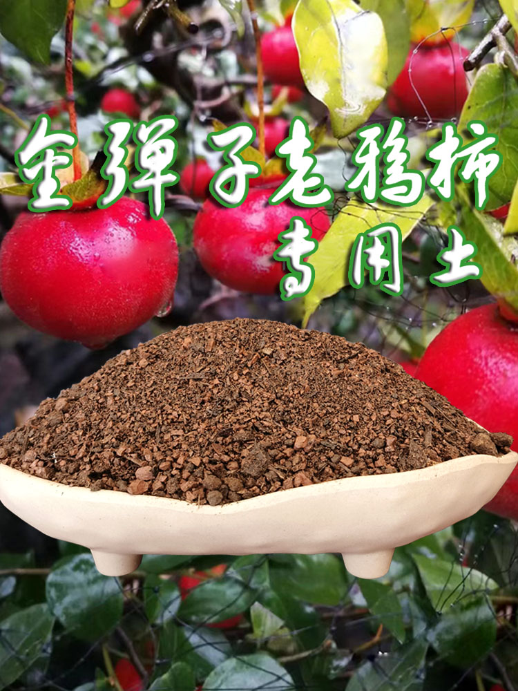 金弹子 老鸦柿 熟桩专用颗粒土 家用酸性便宜颗粒土大袋蓬松