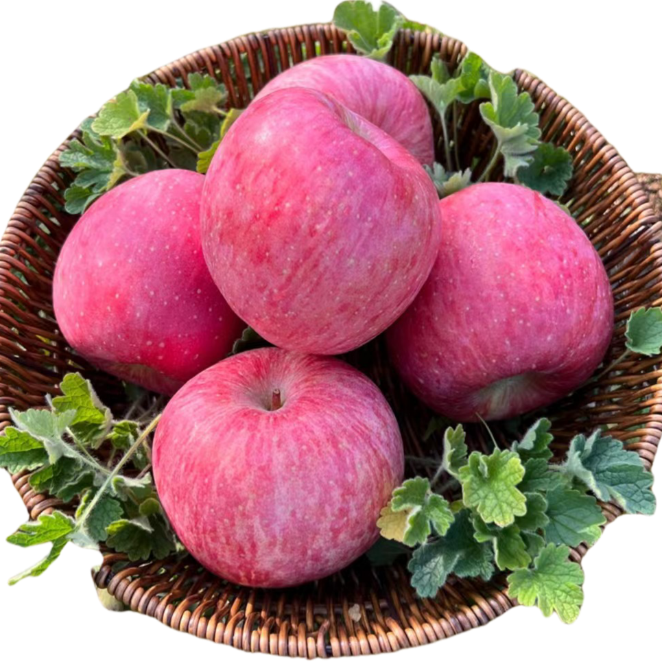 7陕西洛川红富士苹果8斤95超大果脆甜多汁新鲜水果香甜