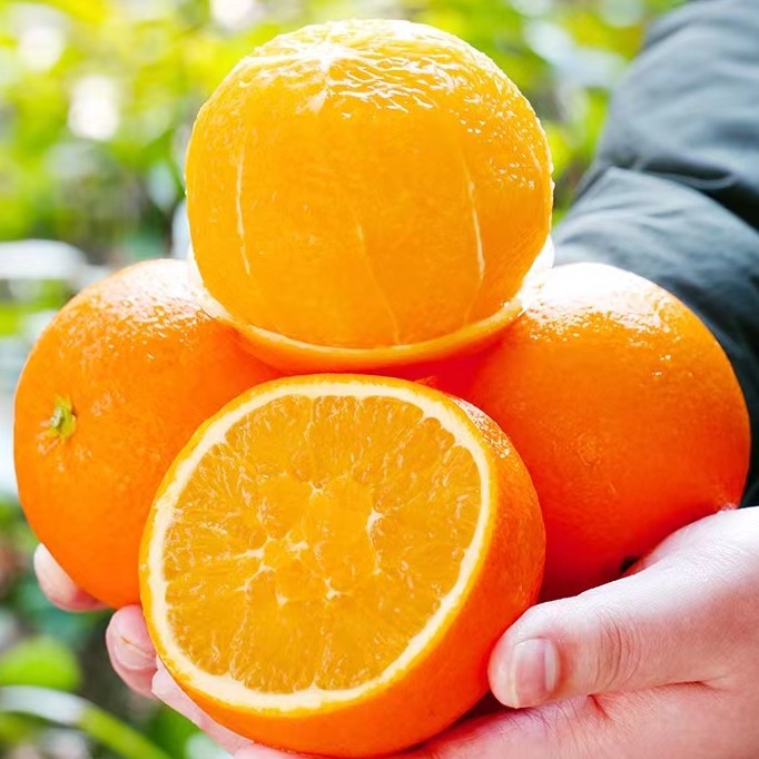 江西赣南脐橙橙子新鲜水果当季整箱5/10斤正宗精品大果鲜甜爆汁