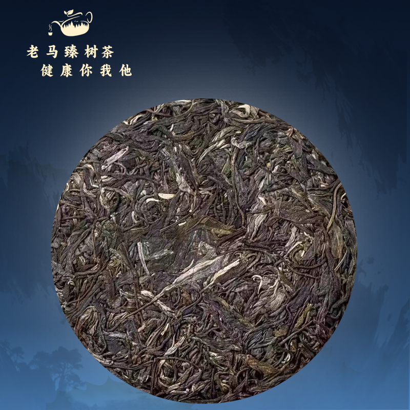 老马臻树  2025年交友古树茶 春茶 200g