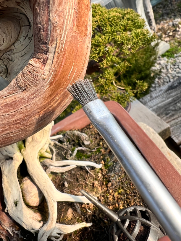 真柏水线舍利清理钢丝刷