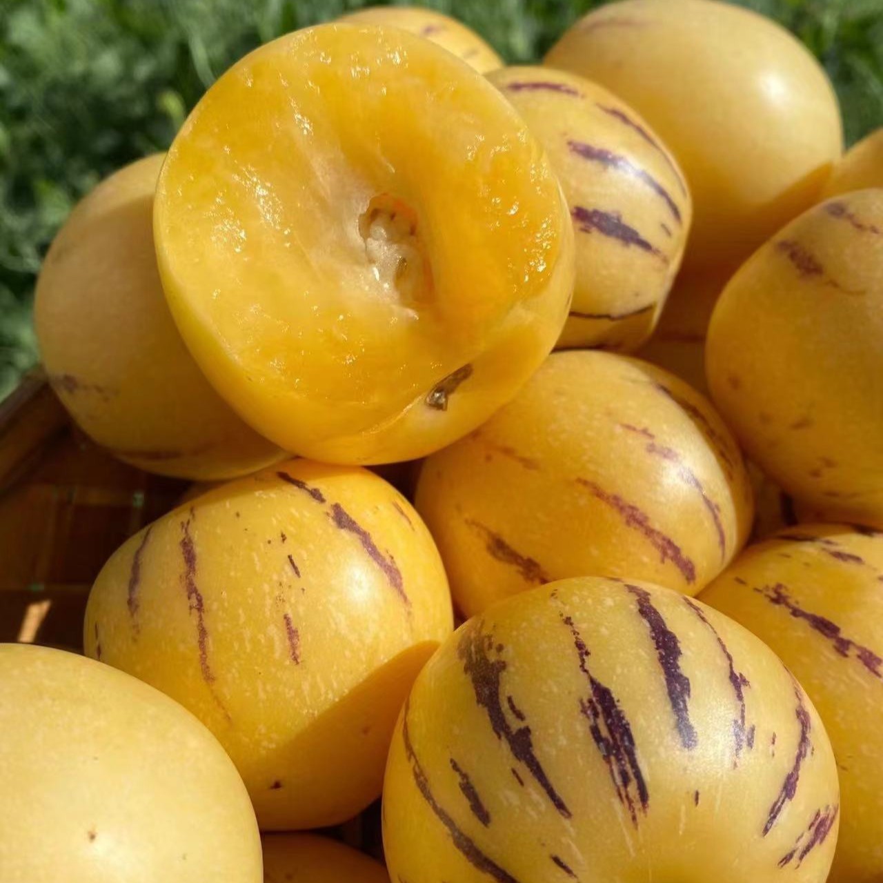 云南树熟人参果（大果）清甜多汁水分炸弹