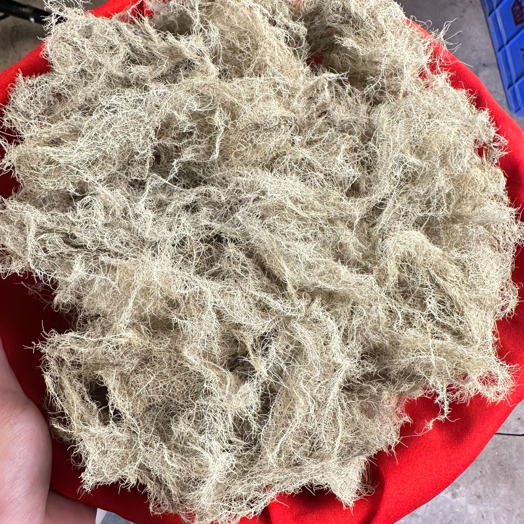  【娜金山货】雪域之宝（高山好物）（可搭配枸杞）2