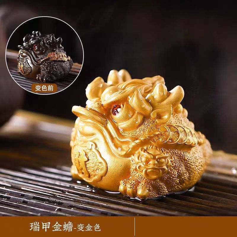 变色茶宠瑞甲金蟾